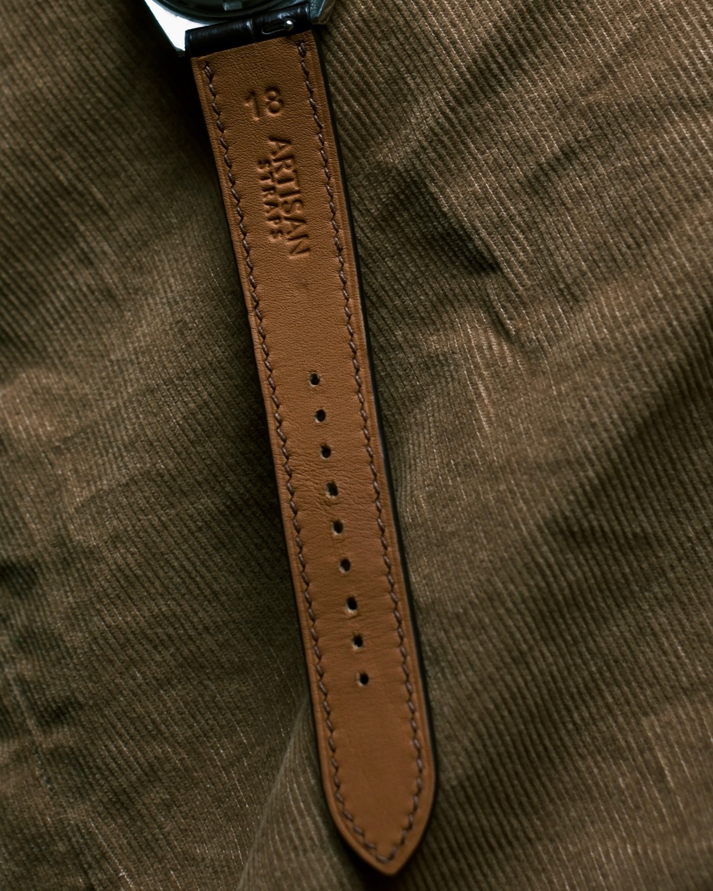 Crocodile Matt Brown