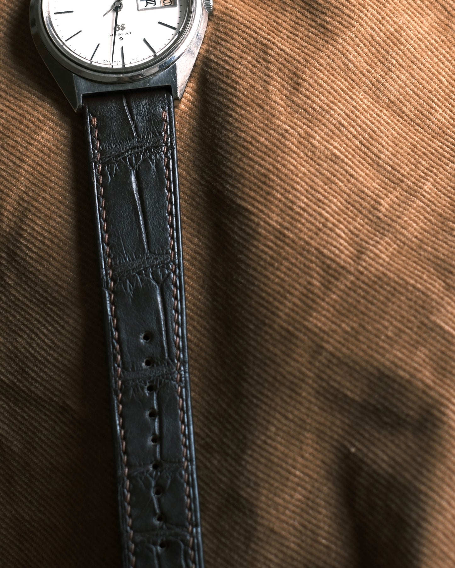 Crocodile Matt Brown