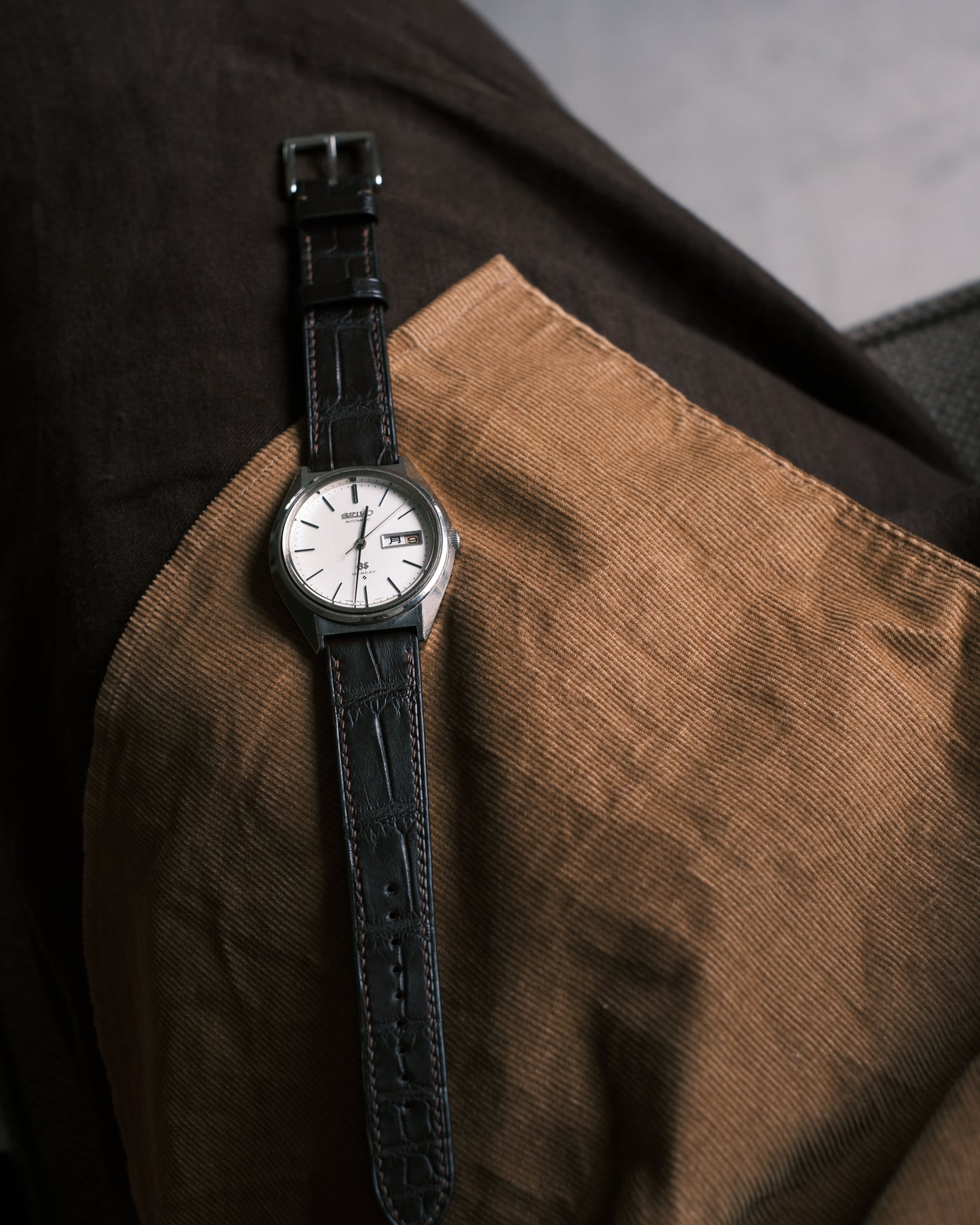 Crocodile Matt Brown