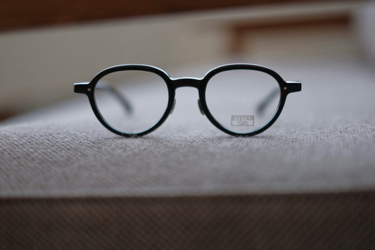 EYEVAN7285 366